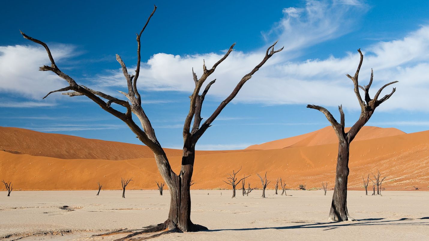 Deadvlei in Sossusvlei