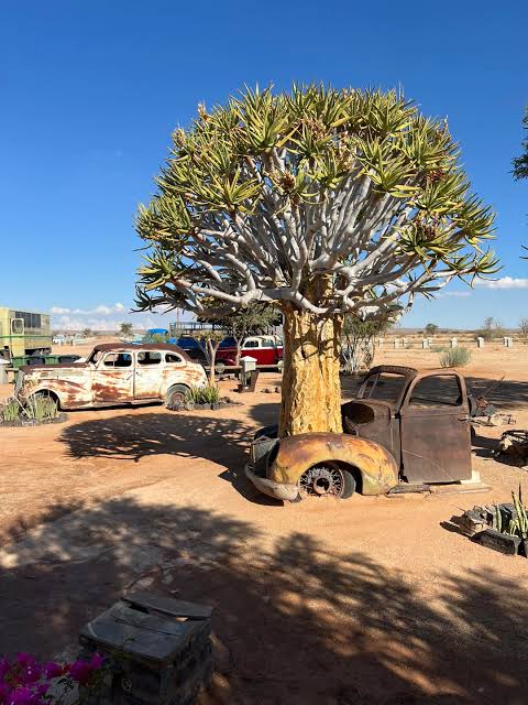 Namibia Explorer